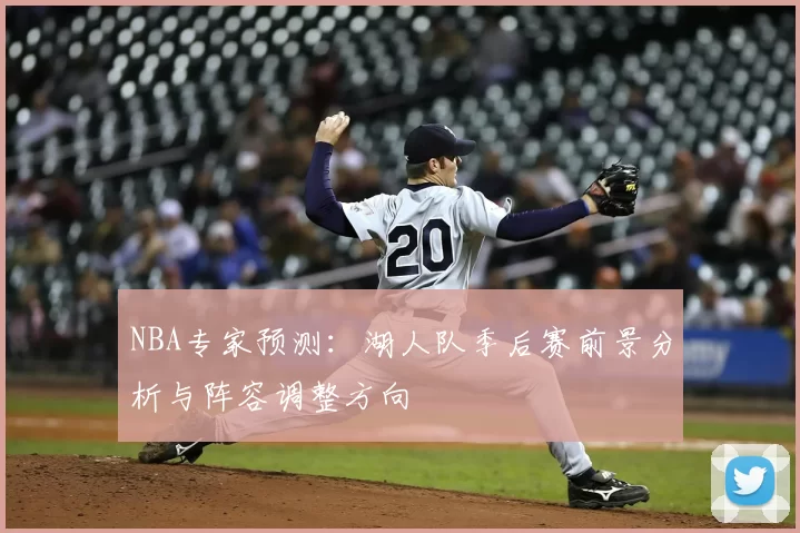 NBA专家预测:湖人队季后赛前景分析与阵容调整方向