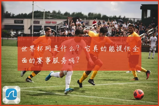 世界杯网是什么?它真的能提供全面的赛事服务吗?