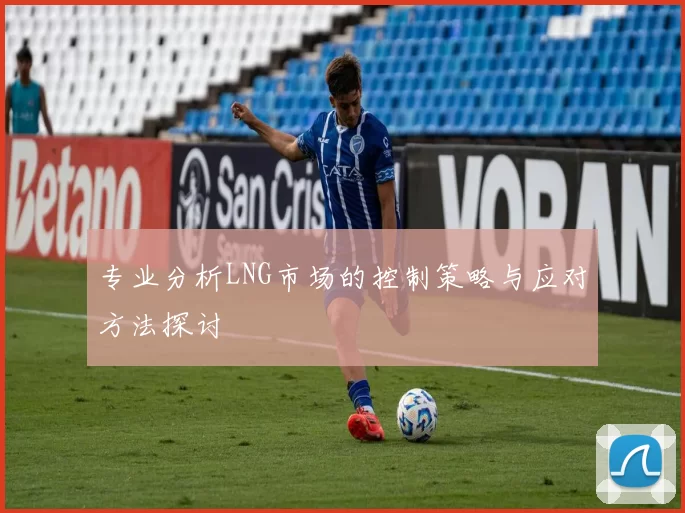 专业分析LNG市场的控制策略与应对方法探讨