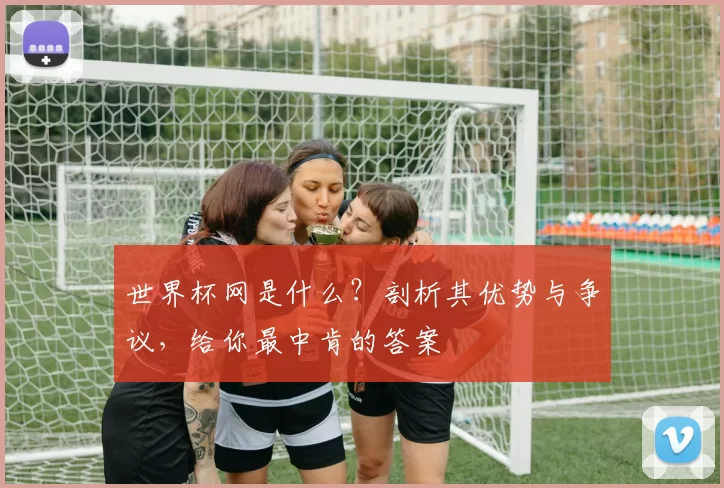 世界杯网是什么?剖析其优势与争议,给你最中肯的答案