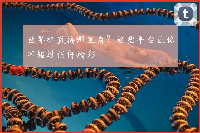 世界杯直播哪里看?这些平台让你不错过任何精彩