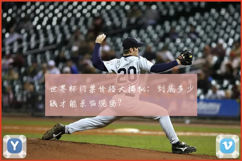 世界杯门票价格大揭秘:到底多少钱才能亲临现场?
