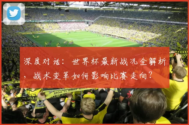 深度对话：世界杯最新战况全解析，战术变革如何影响比赛走向？