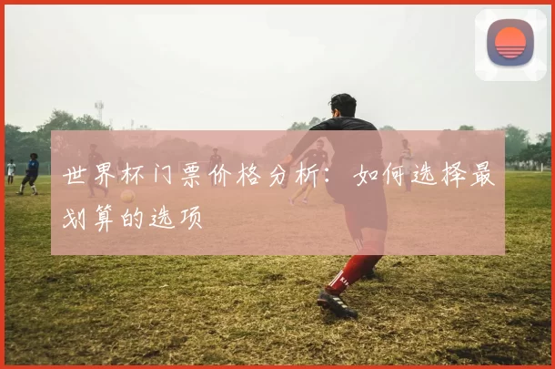 世界杯门票价格分析:如何选择最划算的选项