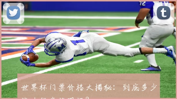 世界杯门票价格大揭秘:到底多少钱才能亲临现场?