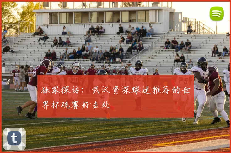 独家探访：武汉资深球迷推荐的世界杯观赛好去处