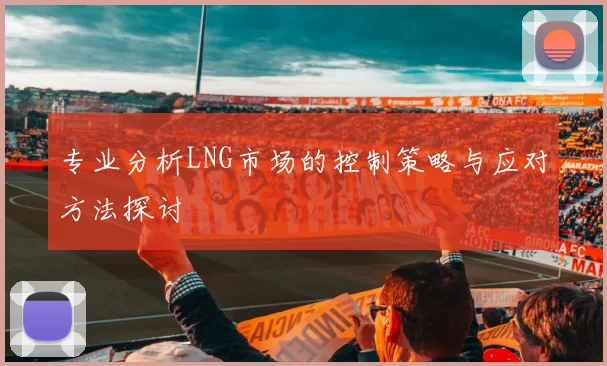 专业分析LNG市场的控制策略与应对方法探讨