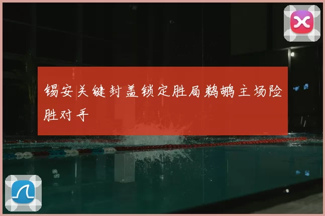 锡安关键封盖锁定胜局鹈鹕主场险胜对手