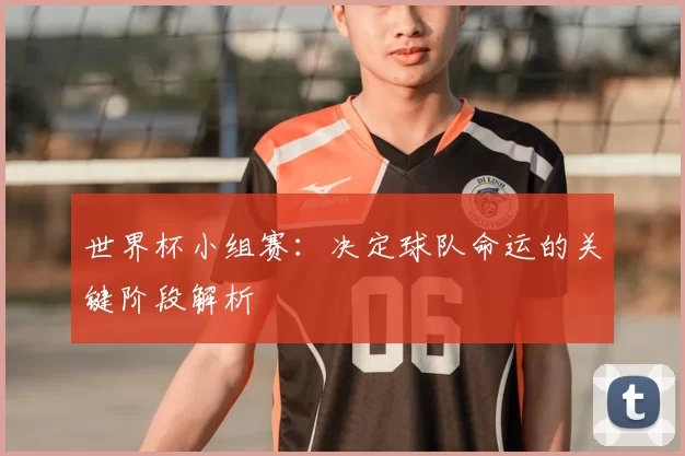 世界杯小组赛:决定球队命运的关键阶段解析
