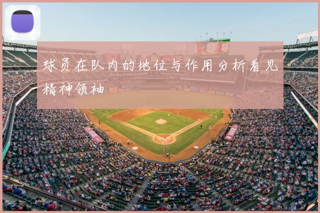 球员在队内的地位与作用分析看见精神领袖