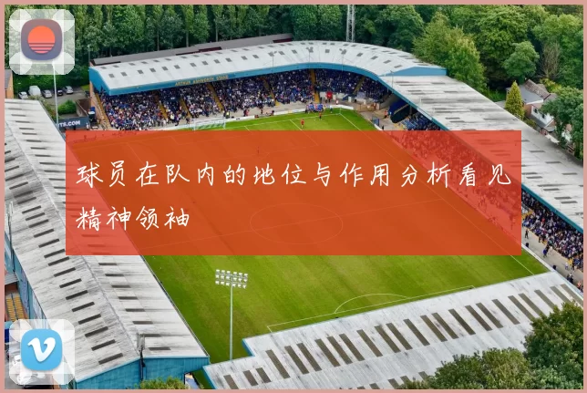 球员在队内的地位与作用分析看见精神领袖