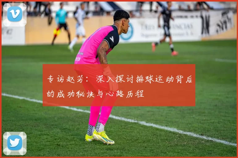专访赵芳:深入探讨排球运动背后的成功秘诀与心路历程