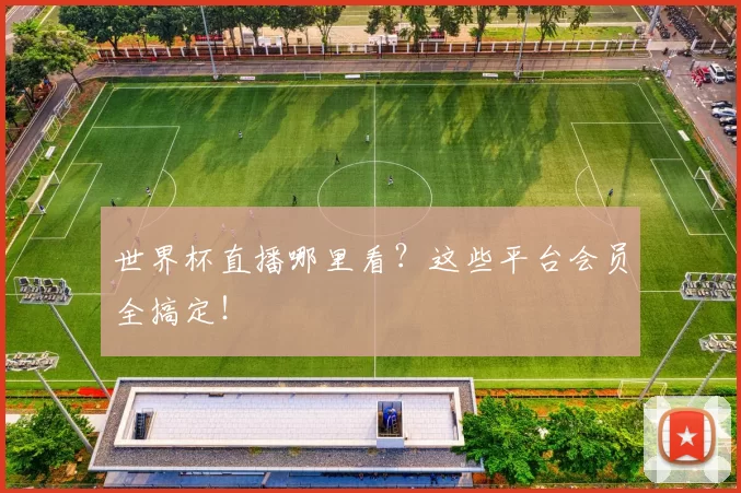 世界杯直播哪里看?这些平台会员全搞定!