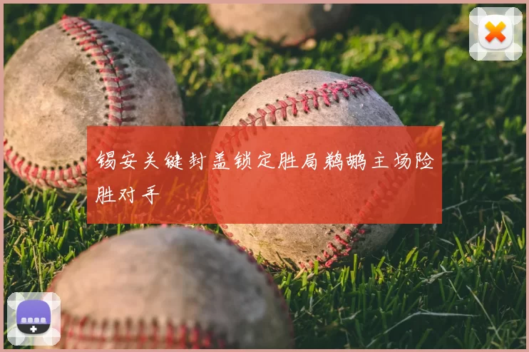 锡安关键封盖锁定胜局鹈鹕主场险胜对手