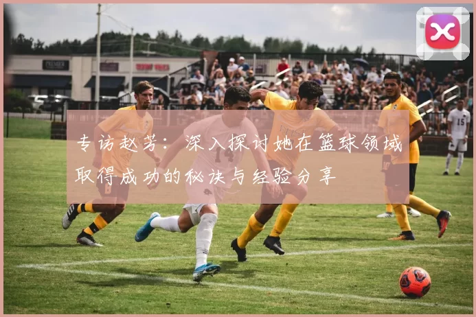 专访赵芳:深入探讨她在篮球领域取得成功的秘诀与经验分享